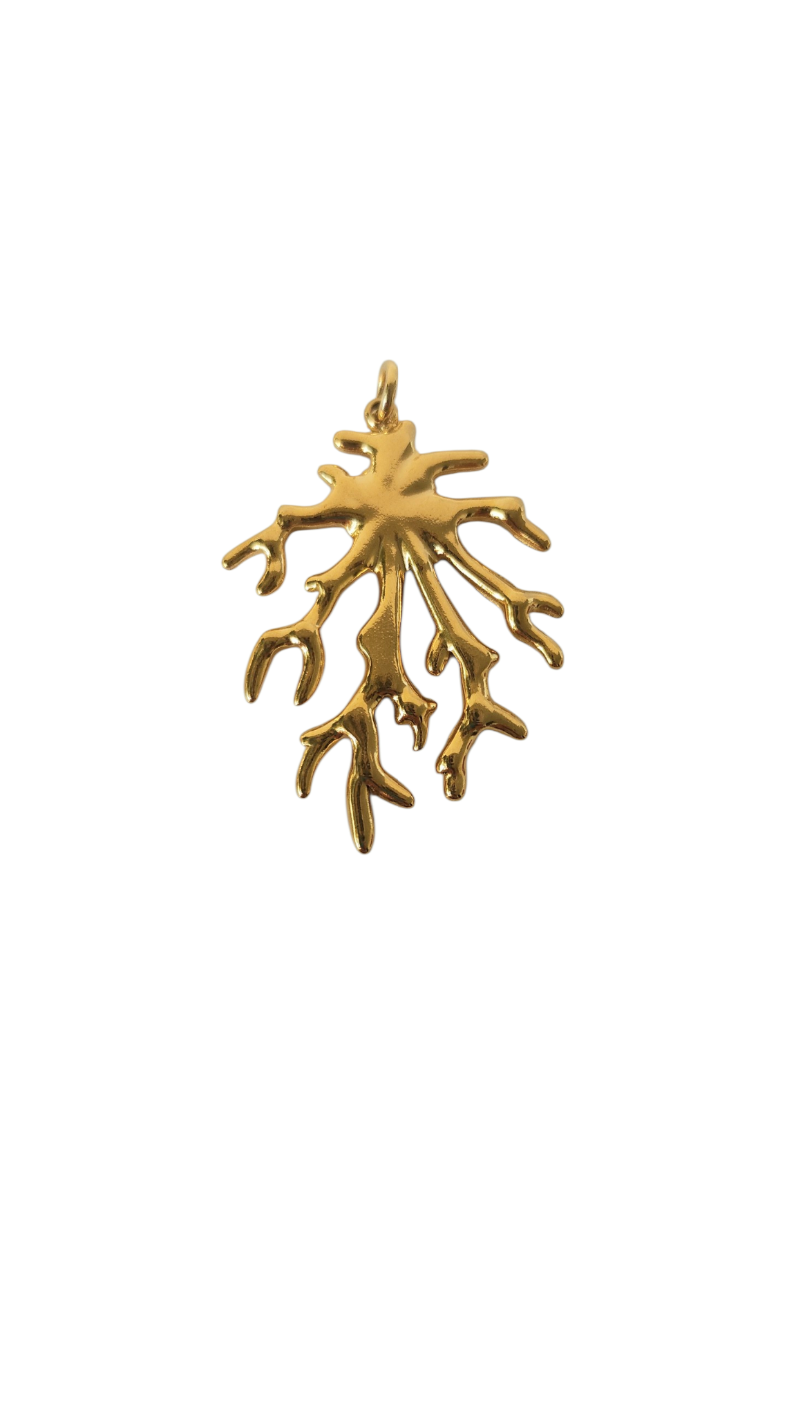 Coral