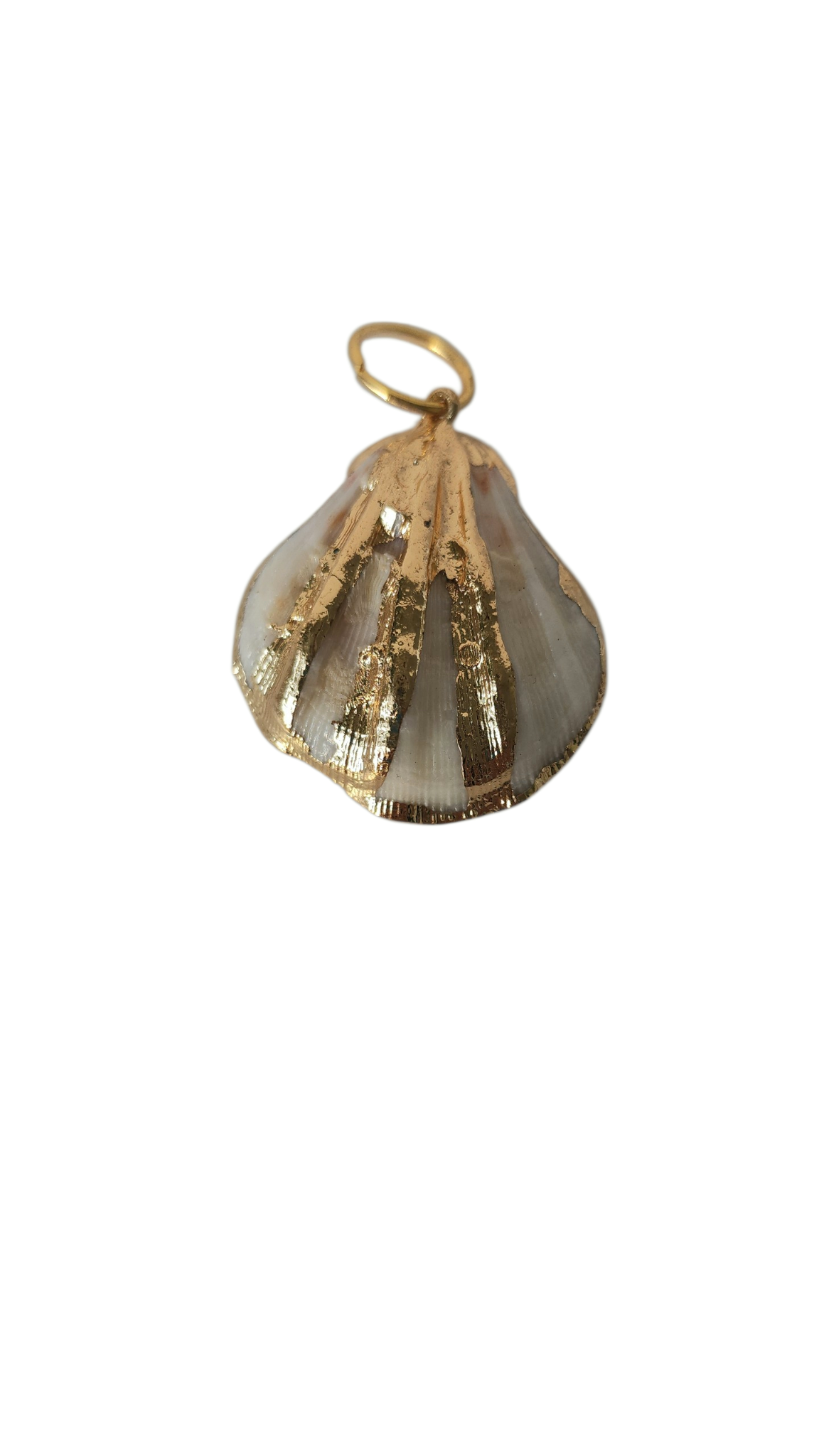 Shell